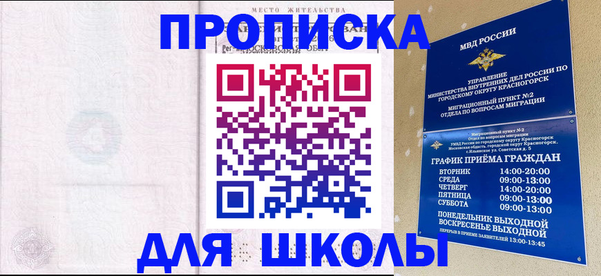 временная регистрация госуслуги в Щёлково