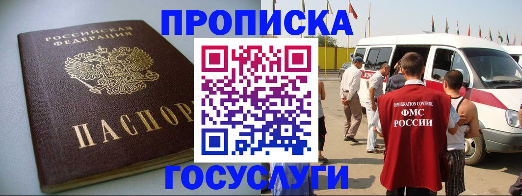 временная регистрация госуслуги в Щёлково